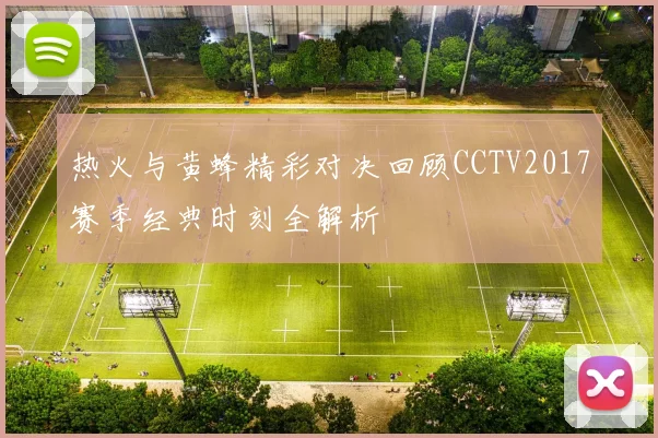 热火与黄蜂精彩对决回顾CCTV2017赛季经典时刻全解析