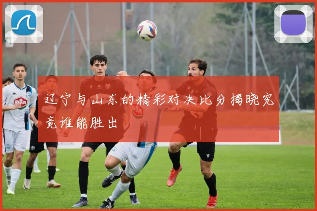 辽宁与山东的精彩对决比分揭晓究竟谁能胜出