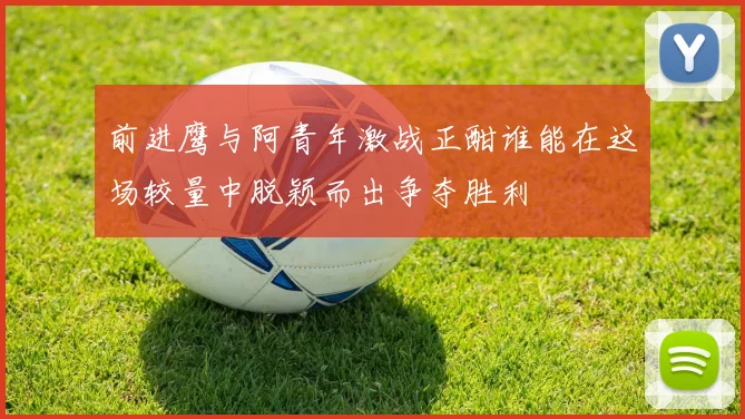 前进鹰与阿青年激战正酣谁能在这场较量中脱颖而出争夺胜利